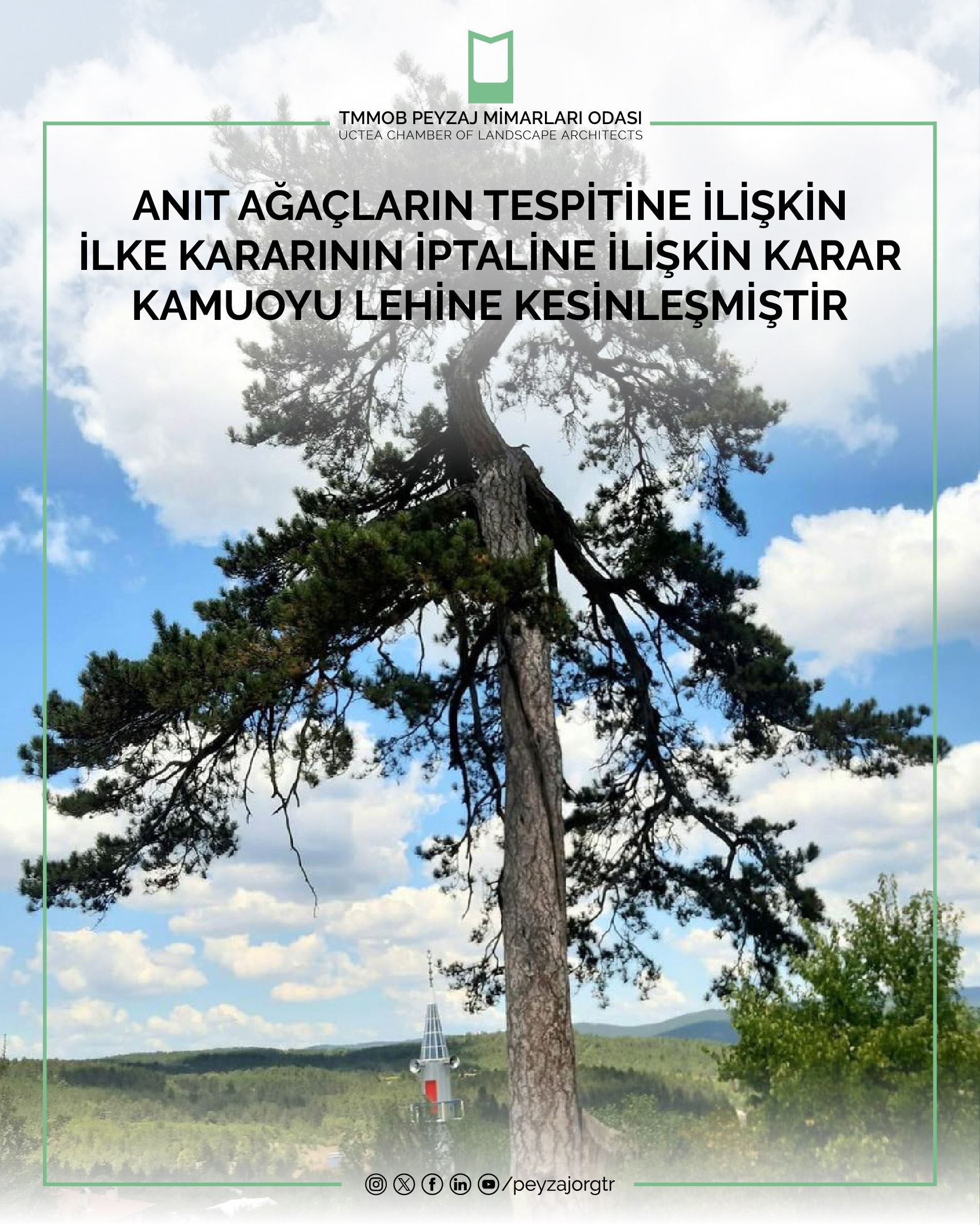 HUKUK | ANIT AĞAÇLARIN TESPİTİNE İLİŞKİN İLKE KARARININ İPTALİNE İLİŞKİN KARAR KAMUOYU LEHİNE KESİNLEŞMİŞTİR